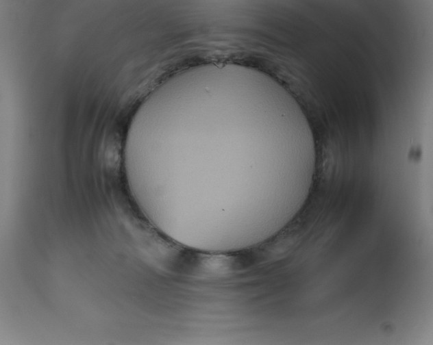 X0000112510226200909071316