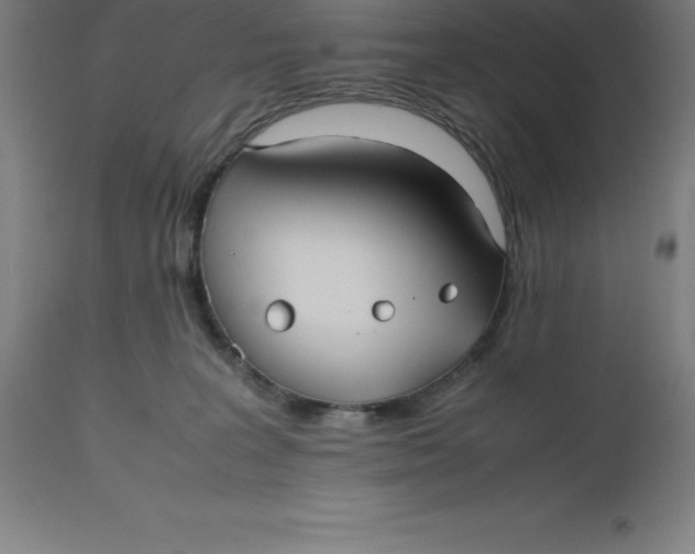 X0000112510227200909071316