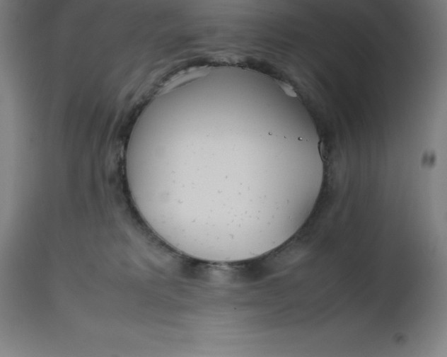 X0000112510229200909071316