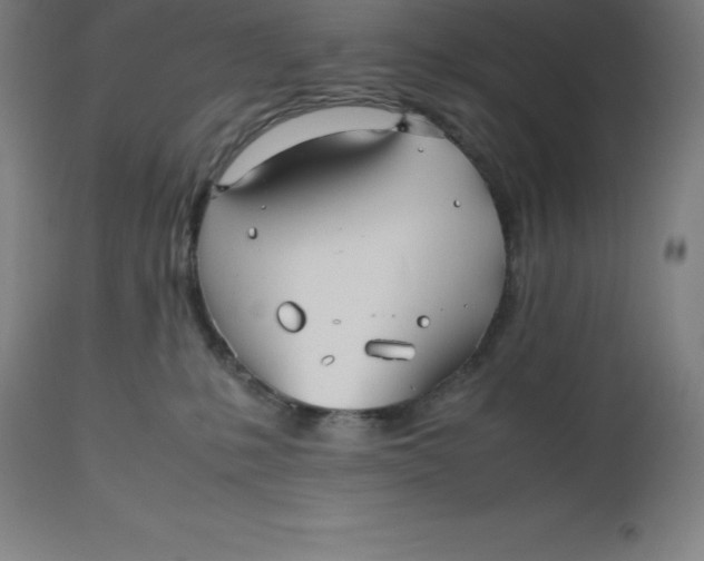 X0000112510231200909071316