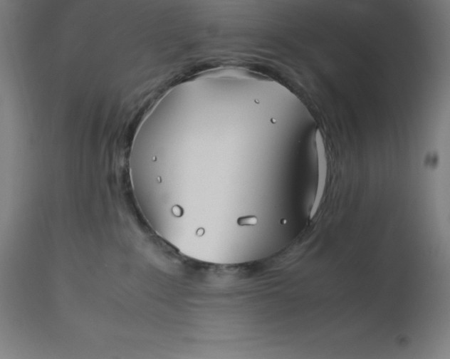 X0000112510235200909071316