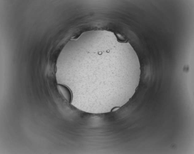 X0000112510236200909071316