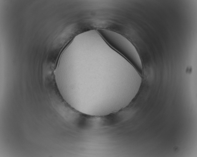 X0000112510237200909071316