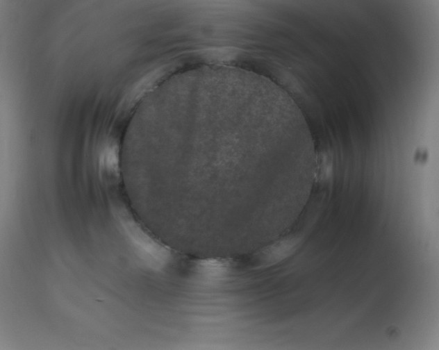 X0000112510238200909071316