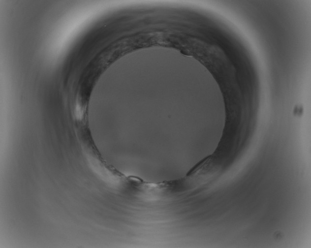 X0000112510239200909071316