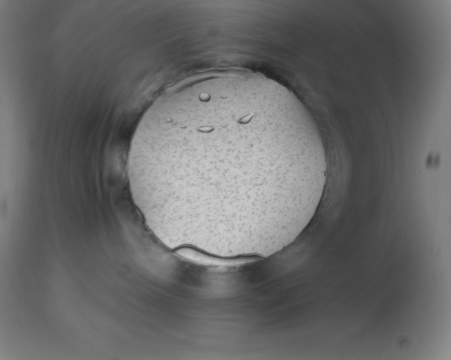 X0000112510240200909071316