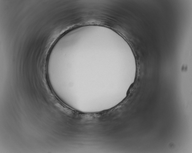 X0000112510241200909071315