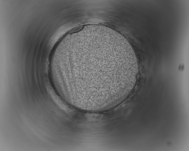 X0000112510242200909071315