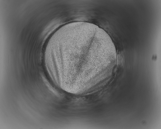 X0000112510243200909071315