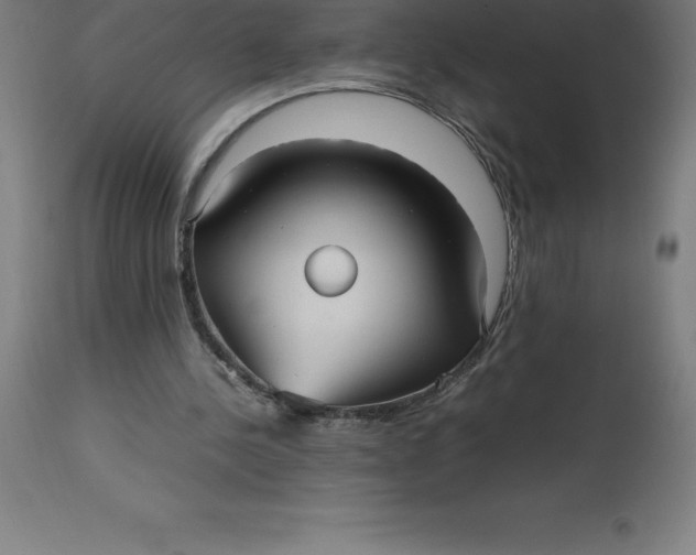 X0000112510244200909071315