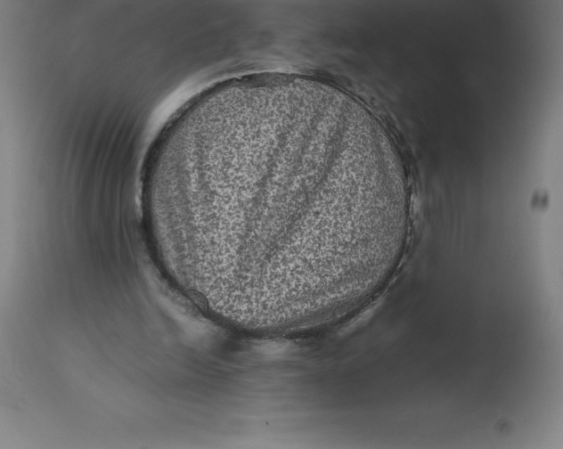 X0000112510246200909071315