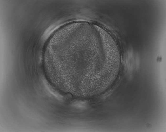 X0000112510247200909071315