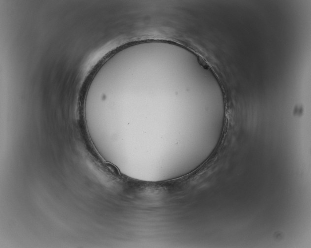 X0000112510248200909071315