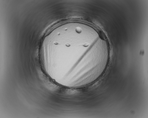 X0000112510249200909071315