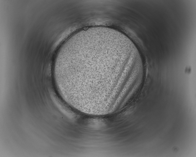 X0000112510250200909071315