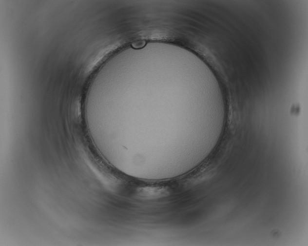 X0000112510251200909071315