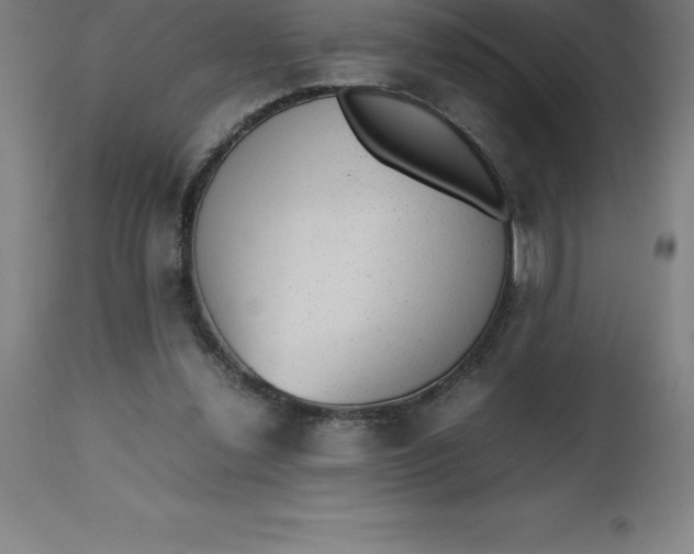 X0000112510252200909071315