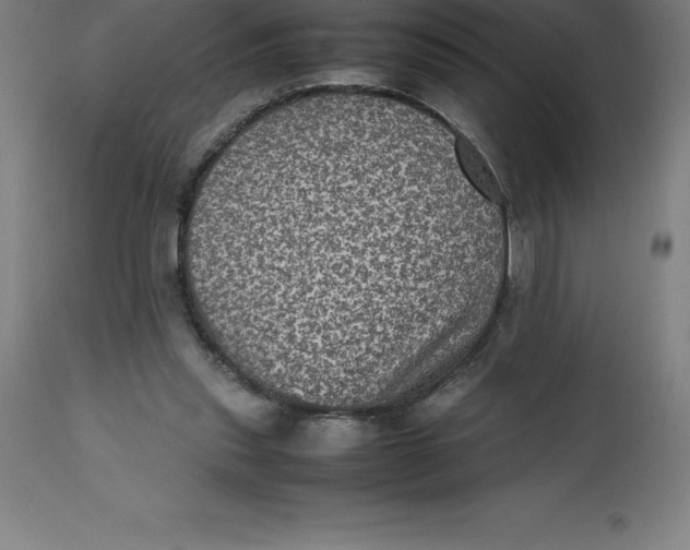 X0000112510253200909071315