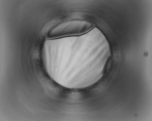 X0000112510256200909071315