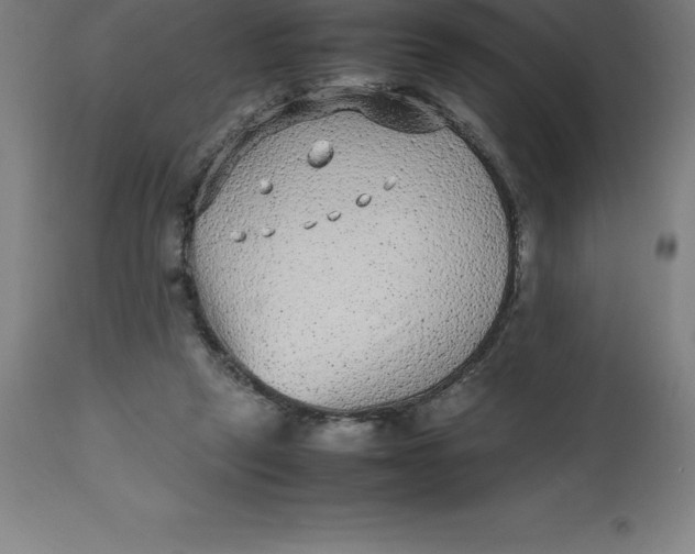 X0000112510257200909071315