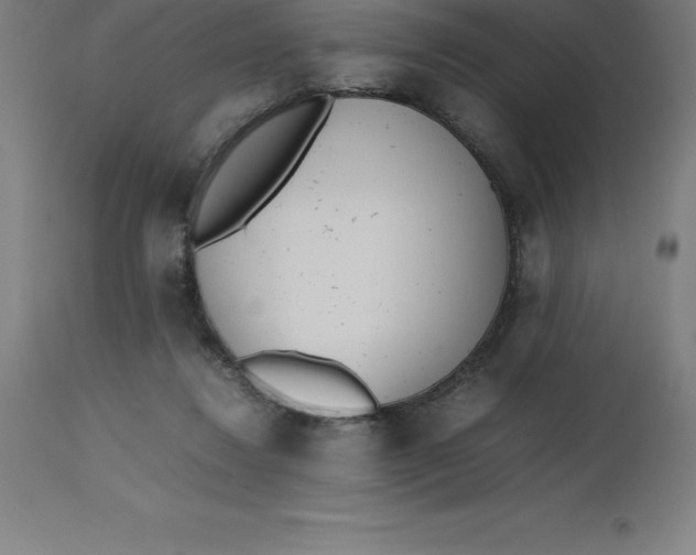 X0000112510260200909071315