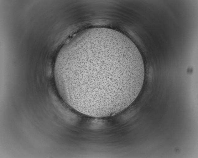 X0000112510261200909071315