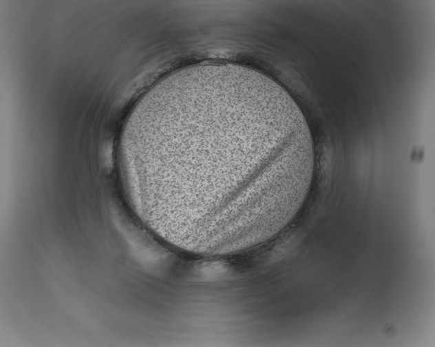 X0000112510262200909071315