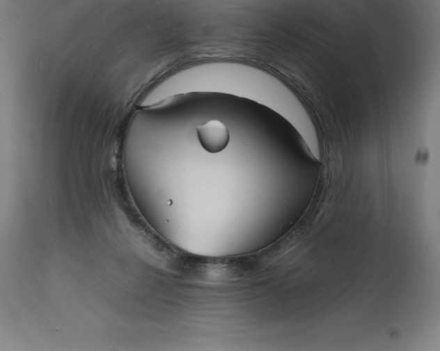 X0000112510264200909071315