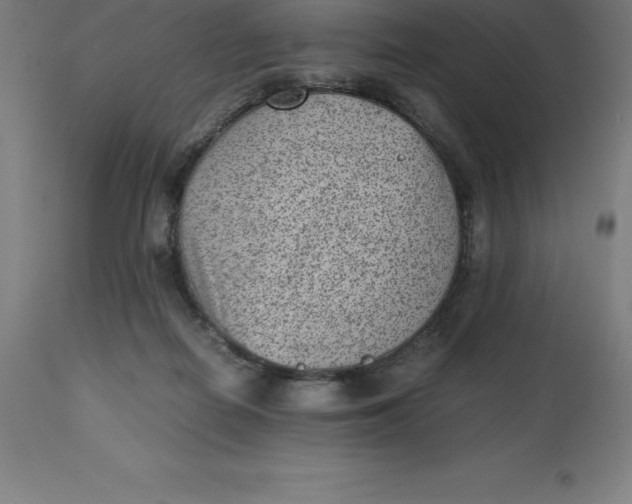 X0000112510266200909071315