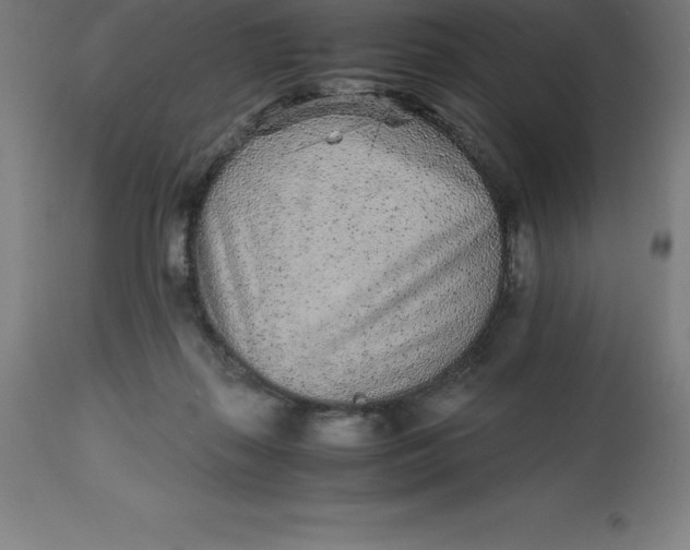 X0000112510267200909071315