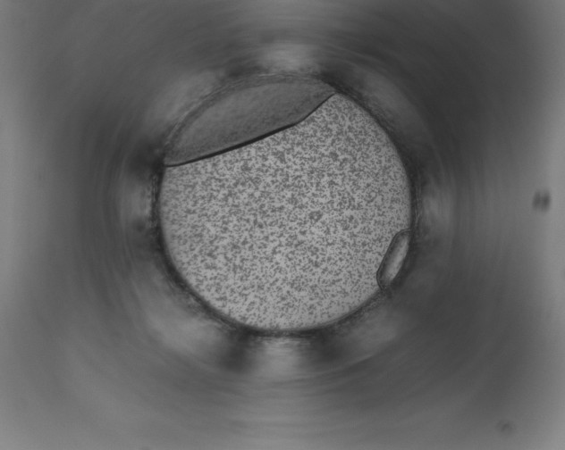 X0000112510268200909071315