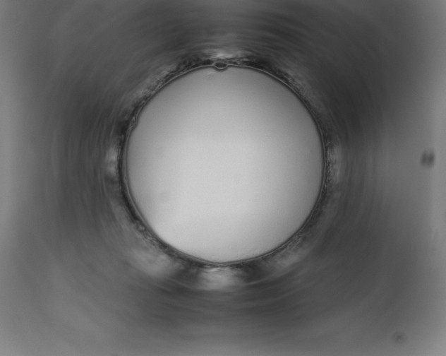 X0000112510269200909071315