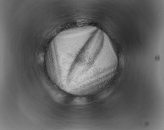 X0000112510271200909071315