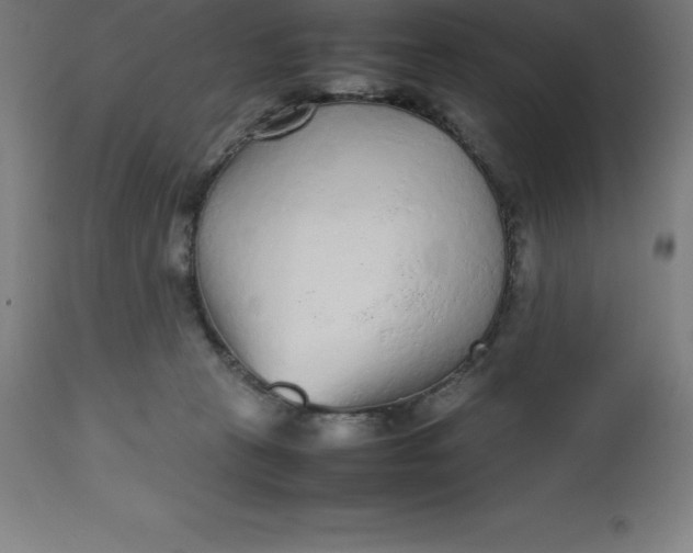 X0000112510273200909071315