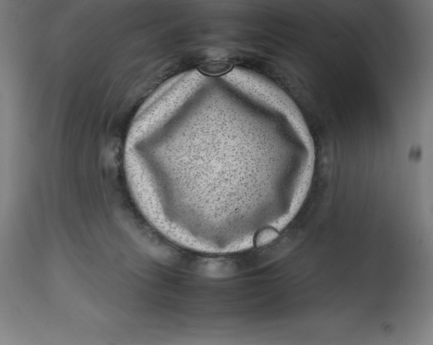 X0000112510275200909071315