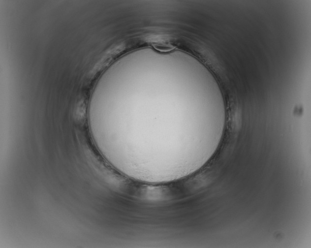 X0000112510277200909071315