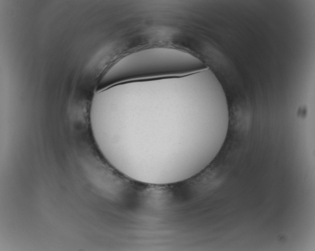 X0000112510280200909071315