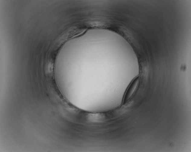 X0000112510281200909071315