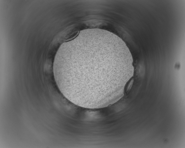 X0000112510283200909071316