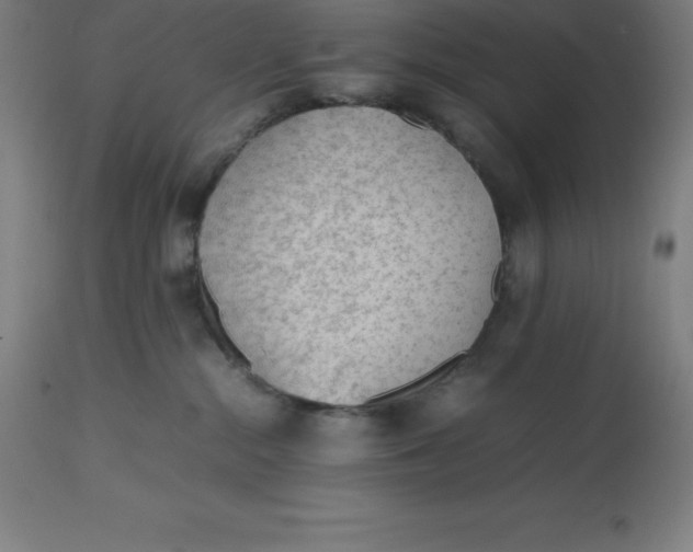 X0000112510284200909071316