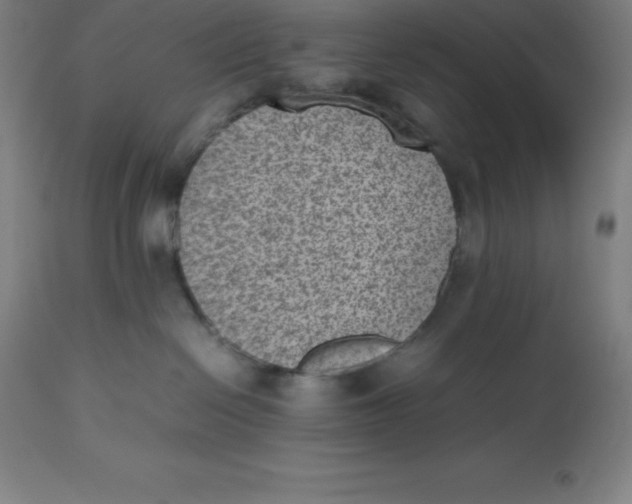 X0000112510286200909071316