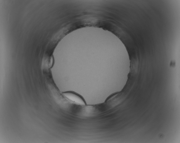 X0000112510287200909071316