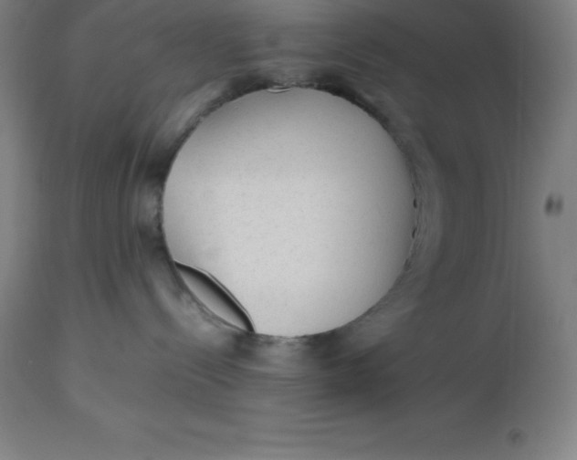 X0000112510288200909071316