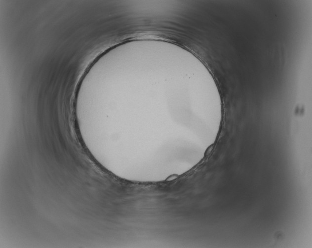 X0000112510289200909071315