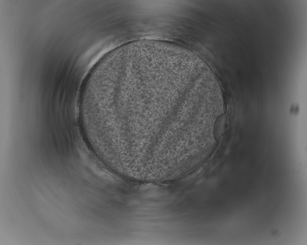 X0000112510290200909071315