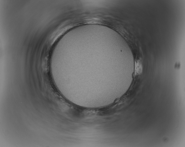 X0000112510291200909071315