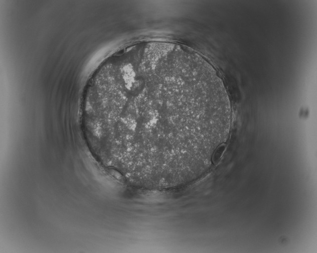 X0000112510293200909071315