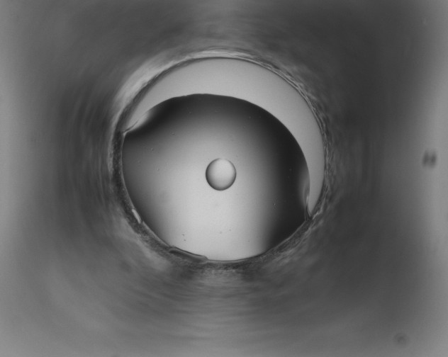 X0000112510296200909071315