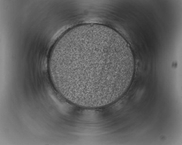 X0000112510298200909071315