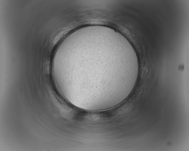 X0000112510299200909071315